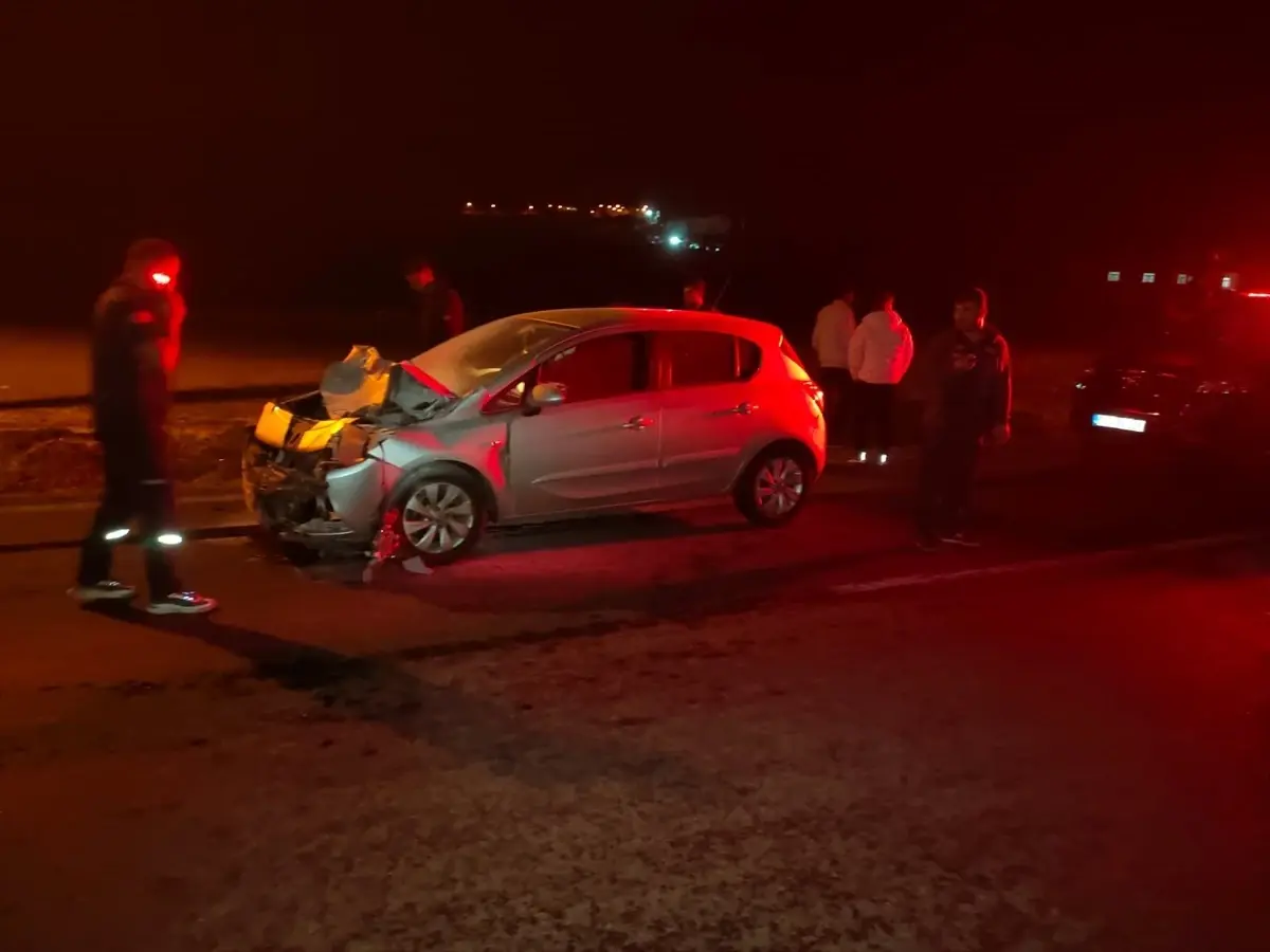 Eşeğe Çarpan Otomobilin Sürücüsü Yaralandı esege carpan otomobilin surucusu yaralandi YBEQOprG.jpg