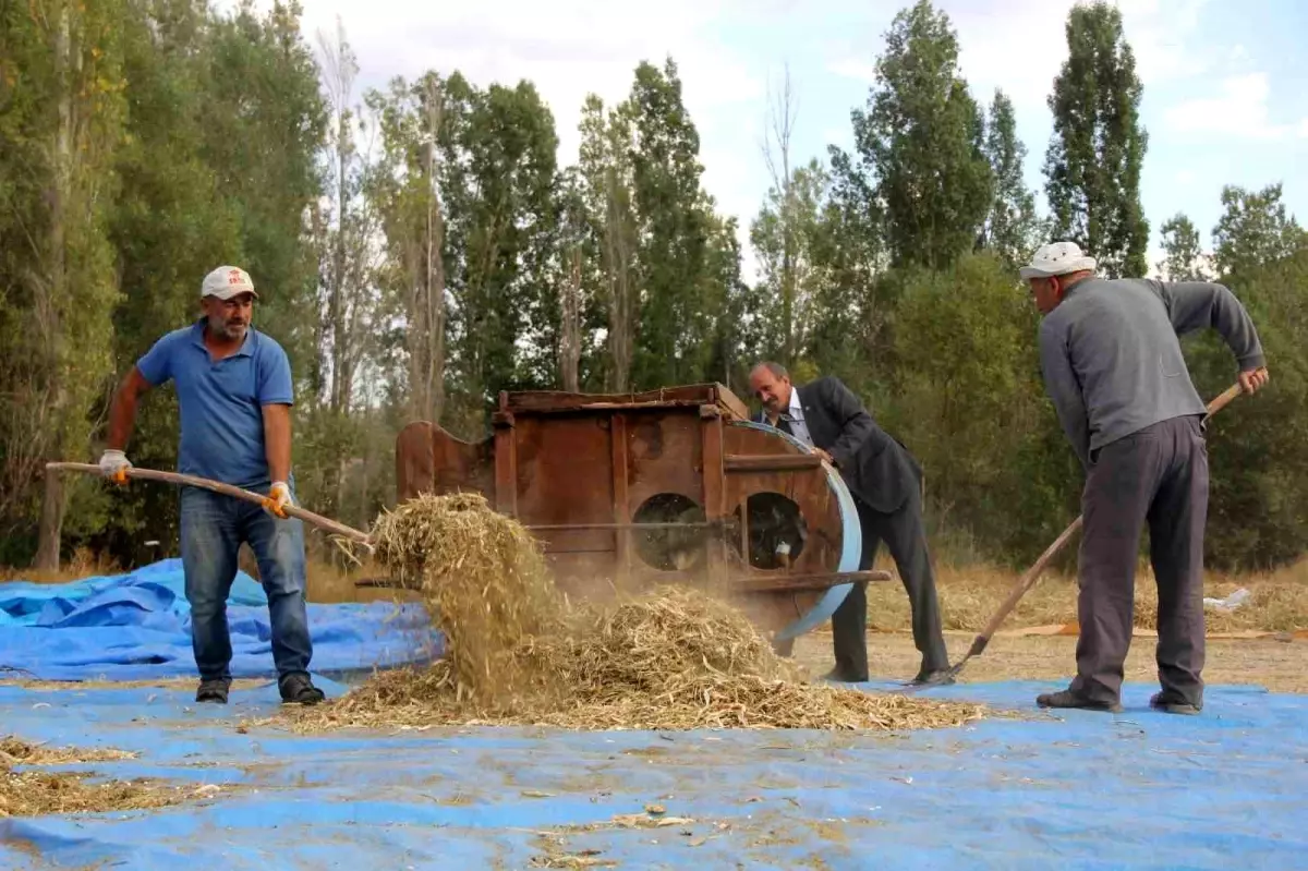 geleneksel yontemlerle kuru fasulye uretiyor guAfrkzm
