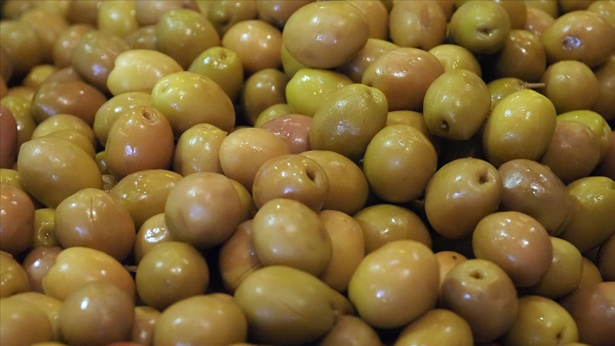 sofralik zeytin ihracatinda tarihi basari 255 milyon dolar BVgLCevK