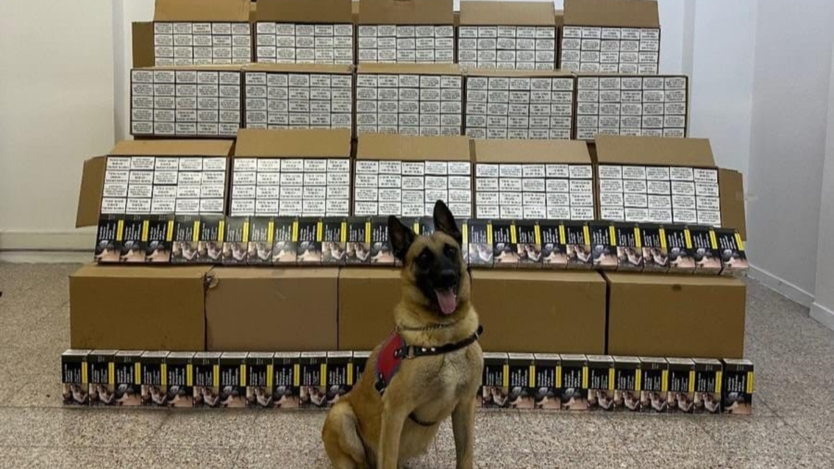 tokatta 1 milyon adet bandrolsuz makaron ele gecirildi EFnuLGN5.jpg