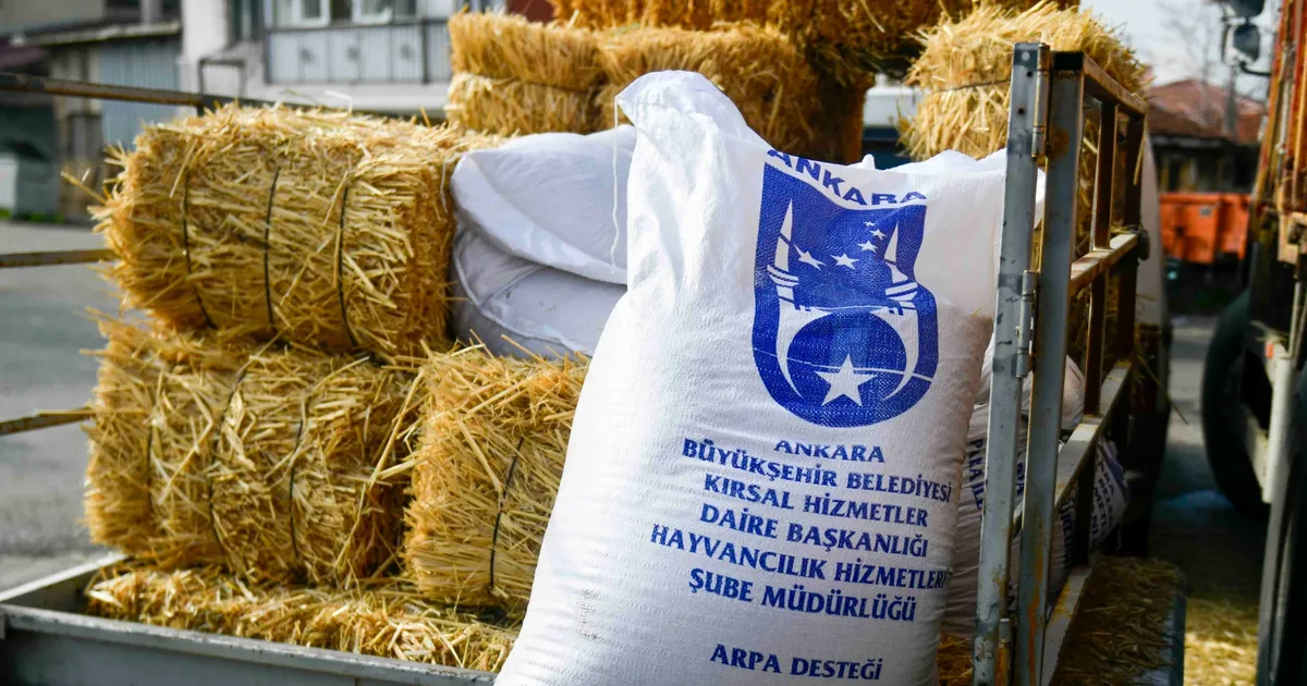 Ankara’da mandacılara yüzde yüz hibeli yem desteği