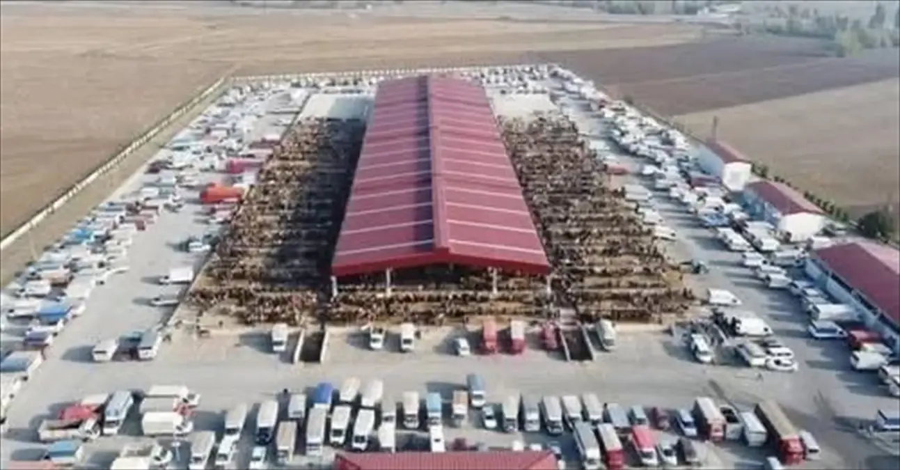 Çorum’da Hayvan Pazarları 29 Aralık’ta Açılacak