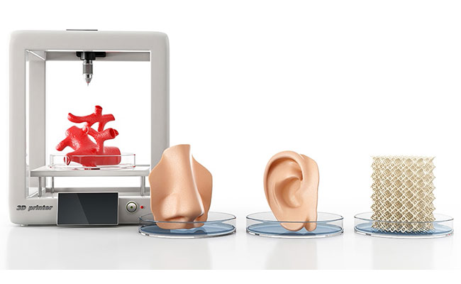 Doku Mühendisliği ve 3D Biyoyazıcı Teknolojisinin Geleceği