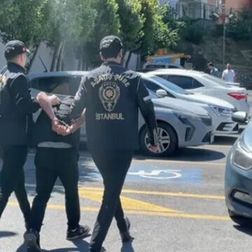 Sinekleri Uzak Tutmanın Doğal Yolu: Limon ve Karanfil İkilisi