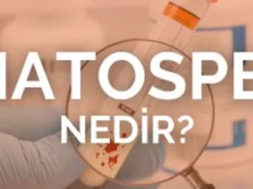 Kanda Sperm Bulunması: Hematosperm Nedir ve Ne Zaman Endişe Edilmelidir?